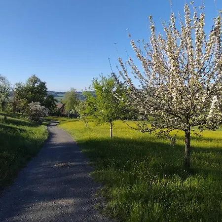 Im Eichberg Panzió Dettighofen