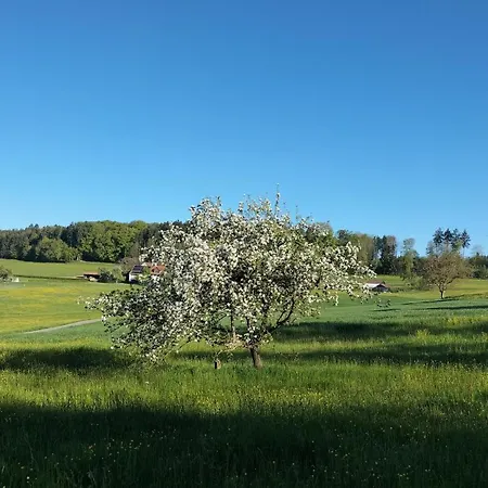 Im Eichberg * Dettighofen