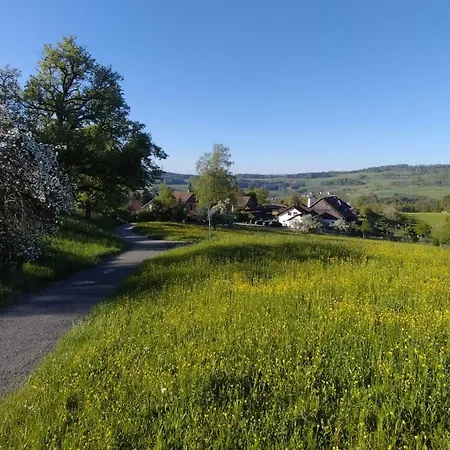Im Eichberg Panzió